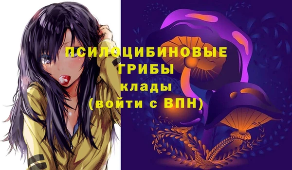 spice Алексеевка